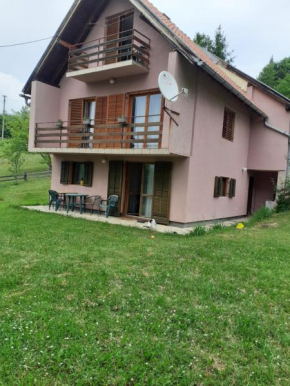 Studio apartman jelena